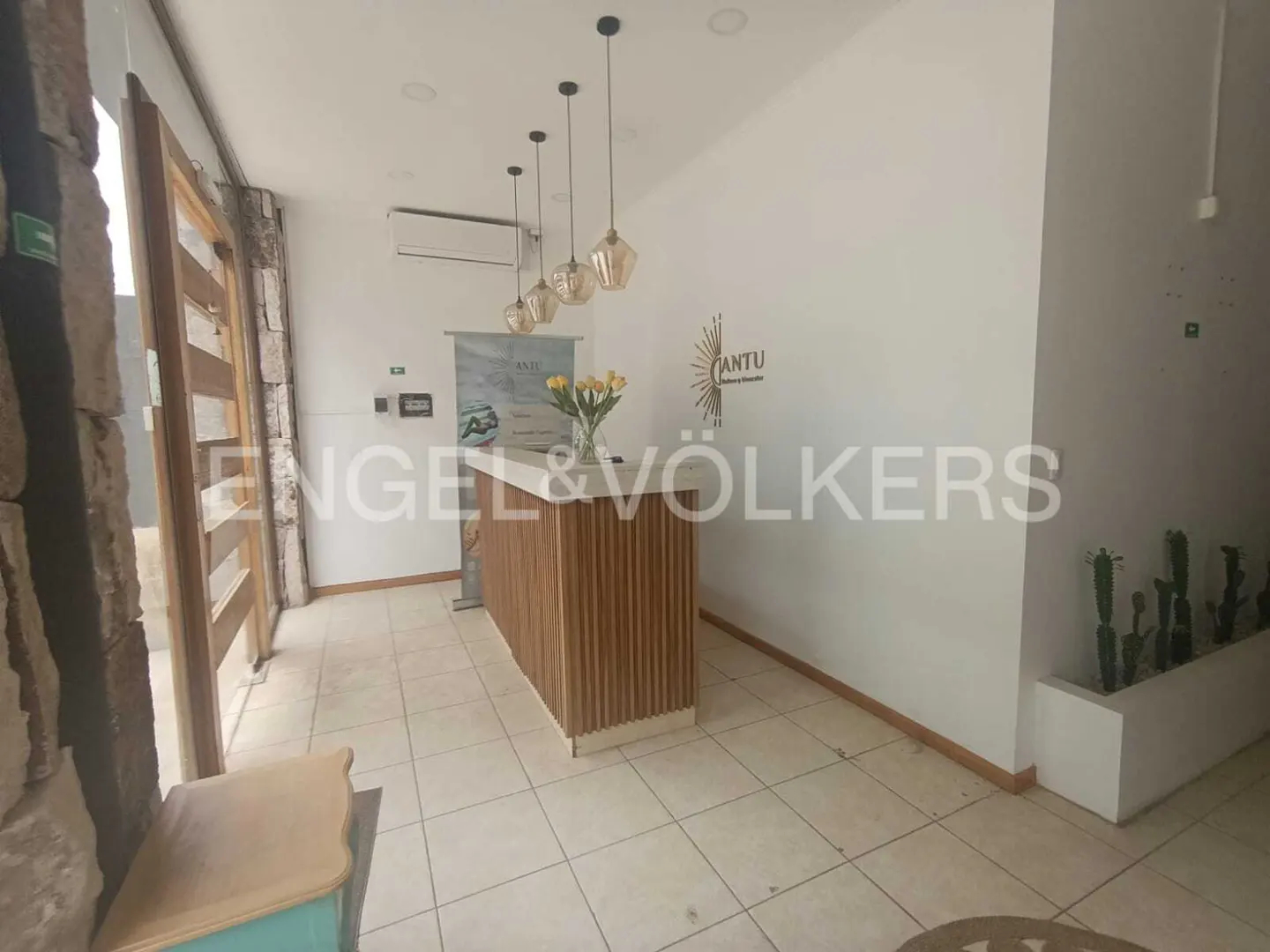 Real estate office interior with a wooden reception desk, yellow tulips, and Engel & Völkers logo on the wall.
