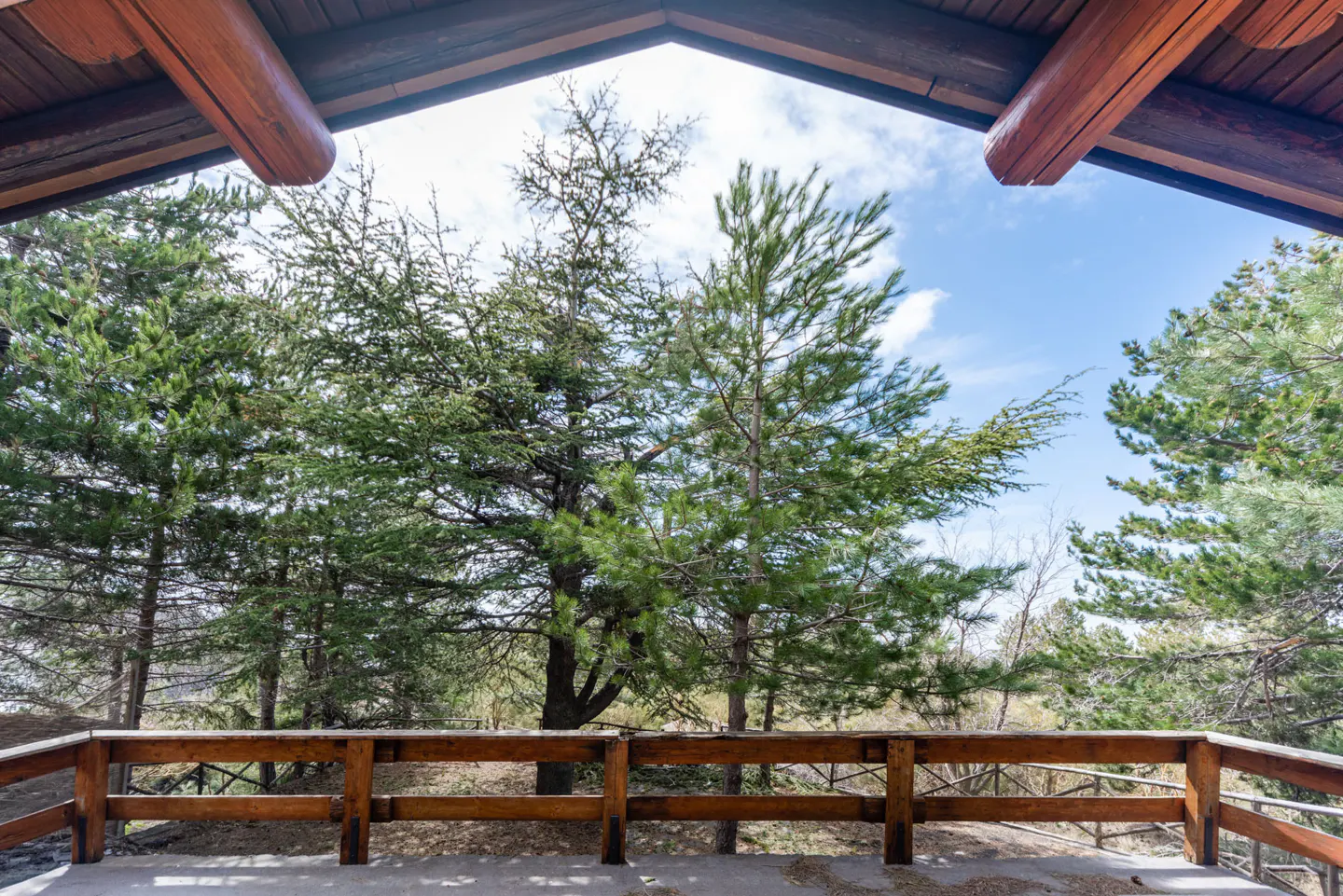 View from a wooden porch with a railing, looking out at green trees and a blue sky. The porch has a wooden roof.