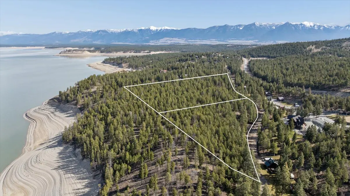 Aerial view of a wooded property outlined in white, near a lake and mountains.