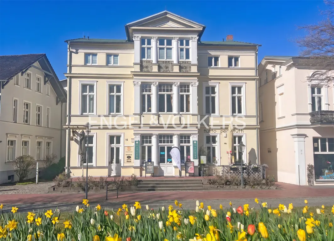 Three-story cream building with white columns and windows under a blue sky, with yellow daffodils in the foreground.