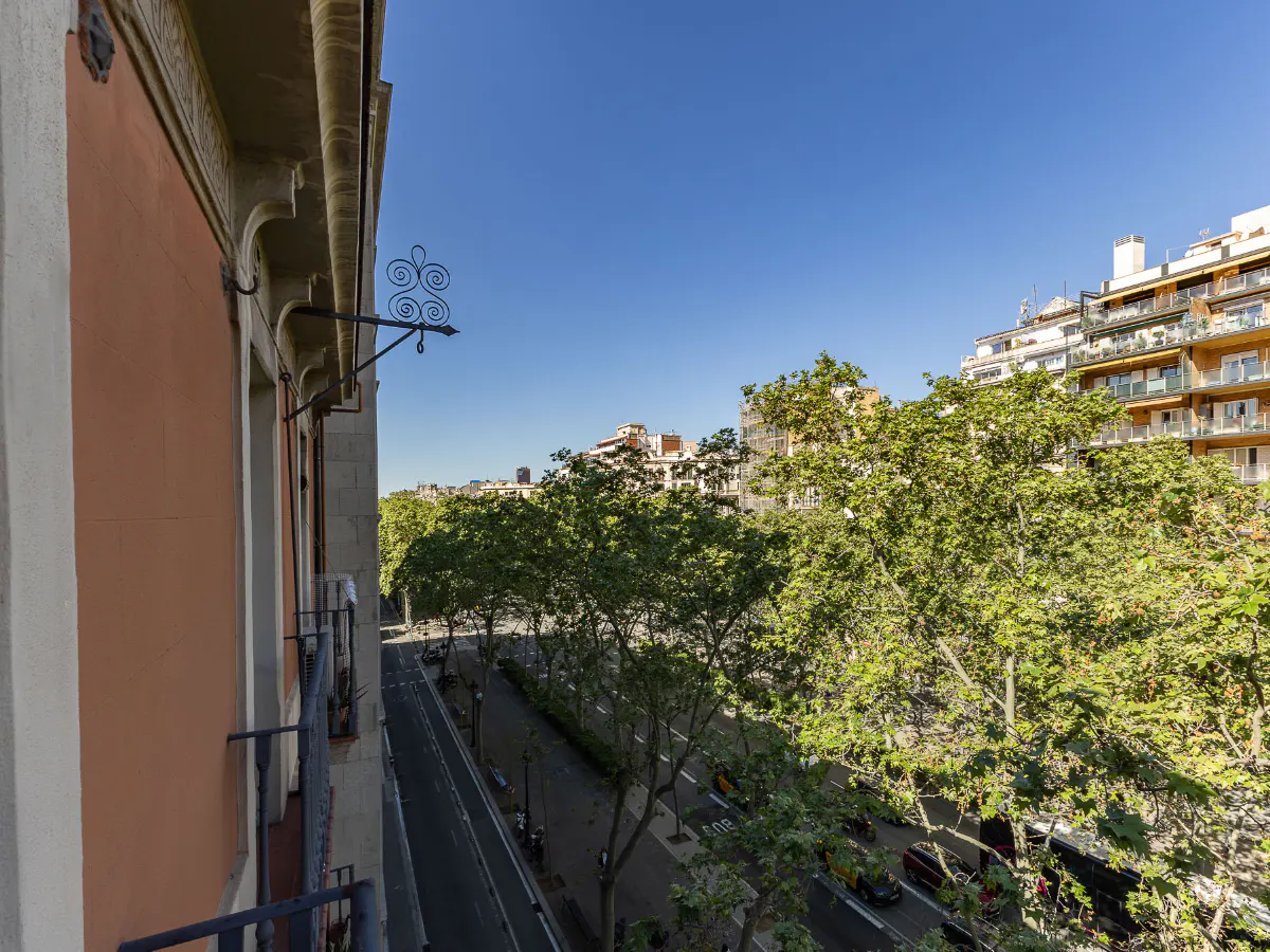 View from a balcony overlooking a tree-lined street with buildings in the background under a clear blue sky.
