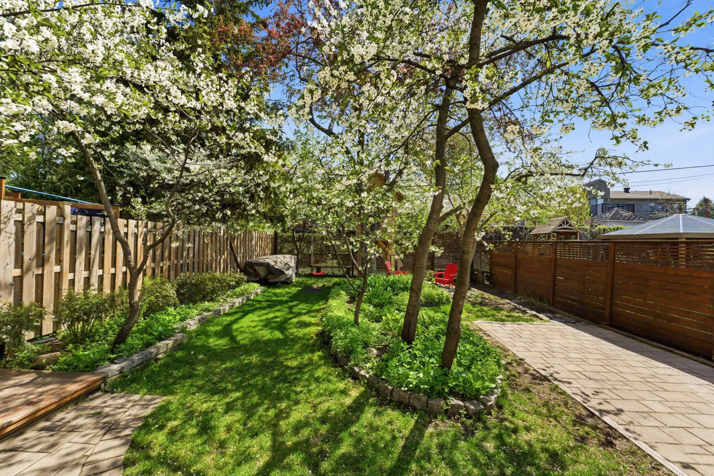 Lush backyard with a green lawn, blooming white trees, a stone patio, and a wooden fence under a clear blue sky.