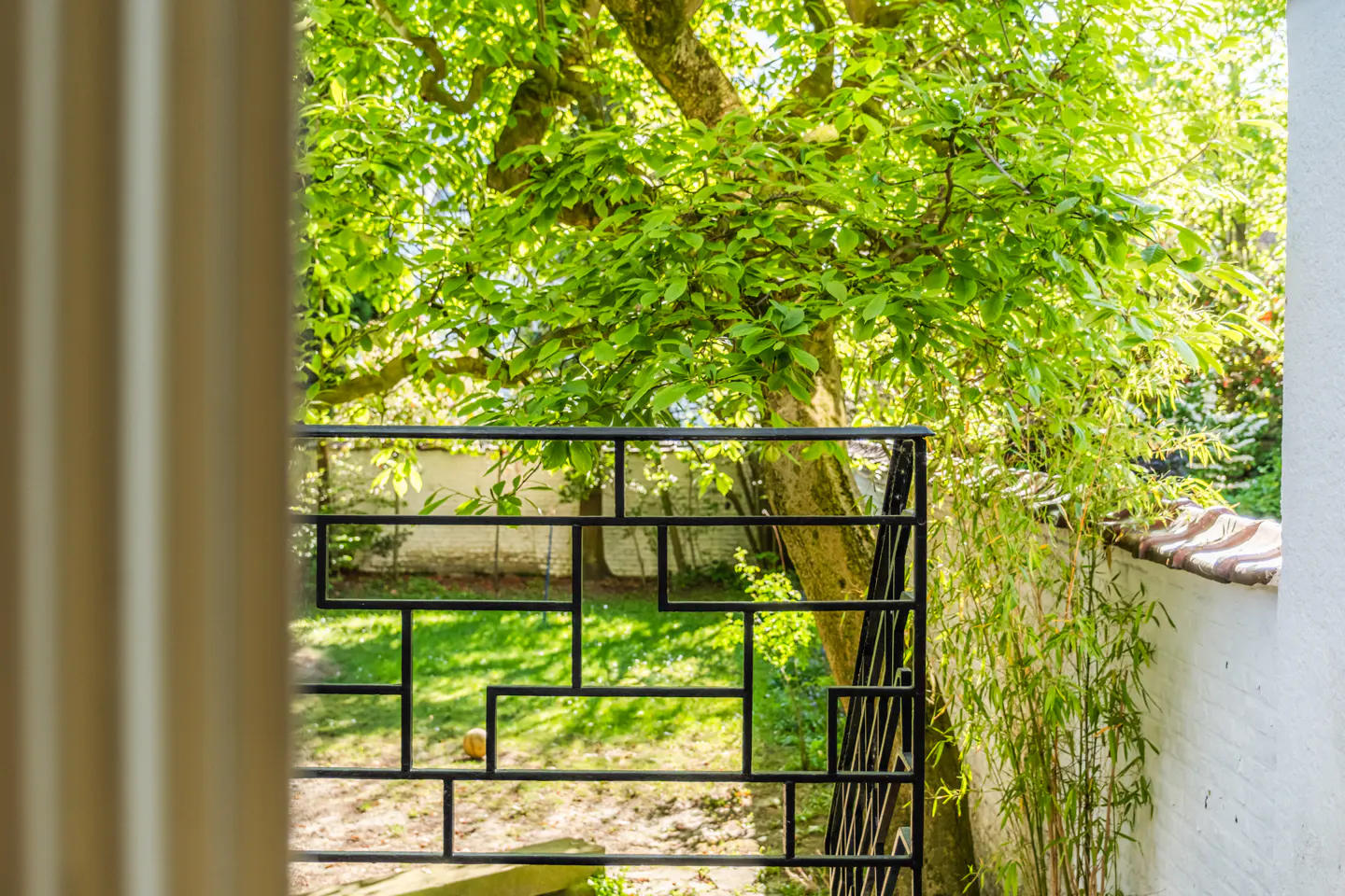 View from a window with a black metal railing to a green yard with a tree and a white wall.