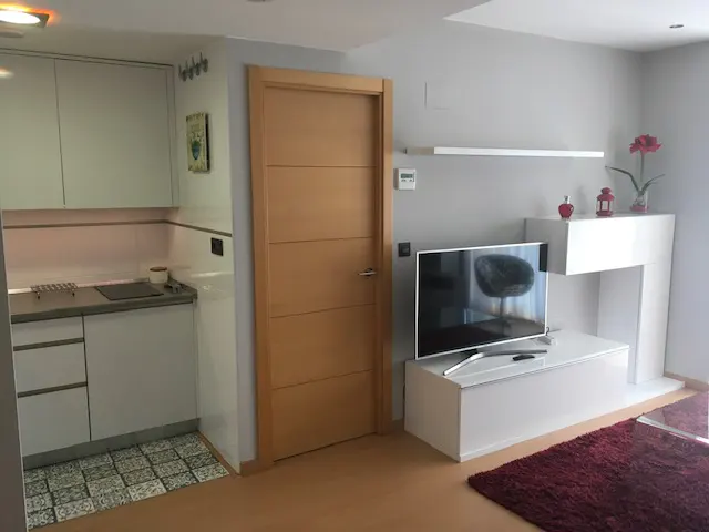 Interior view of a modern apartment with a kitchen, door, TV, and red rug.