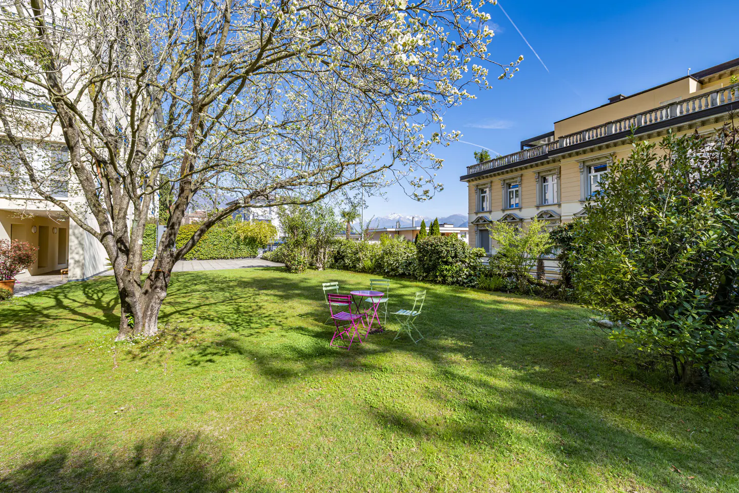 A green lawn with a pink table and chairs sits under a flowering tree near a building on a sunny day.