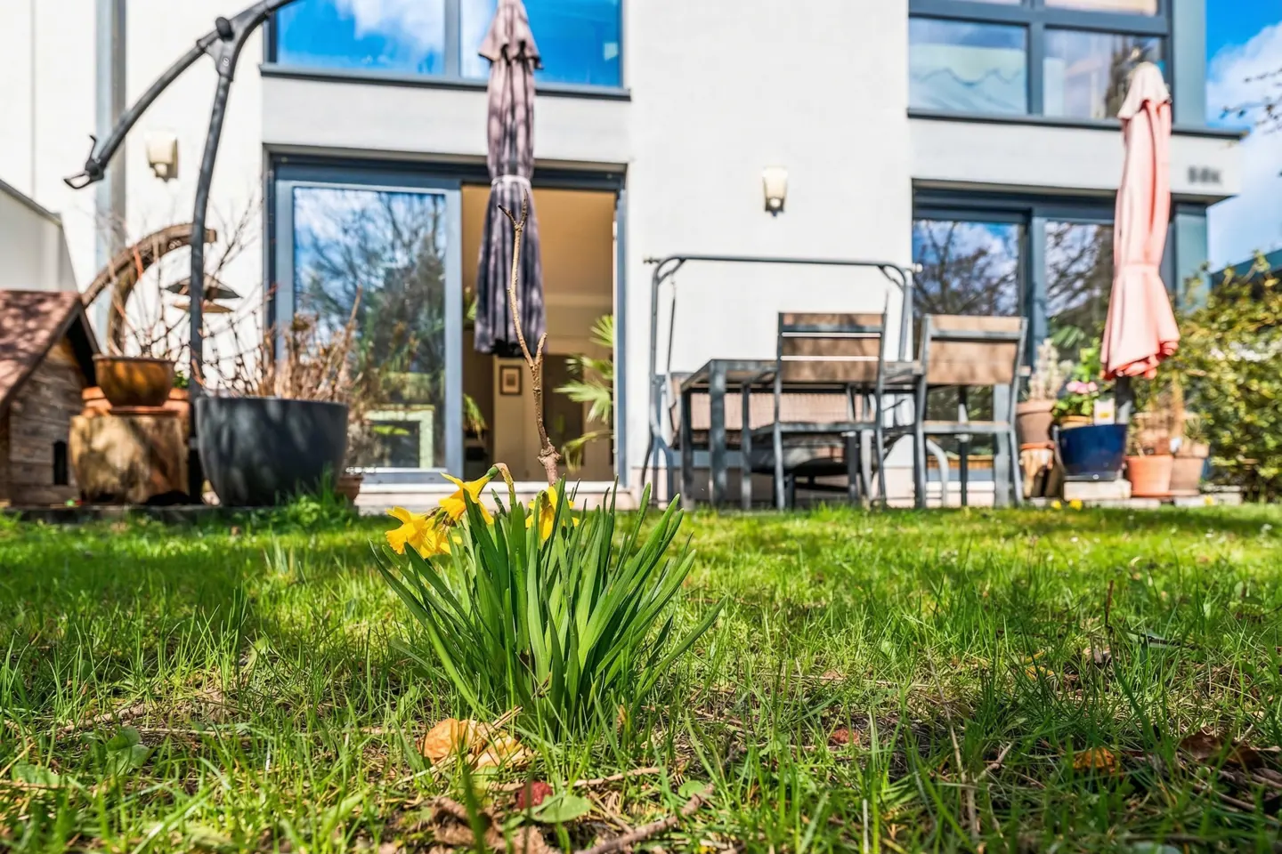 Lawn view of a modern home with yellow daffodils in the foreground. Patio furniture, umbrellas, and potted plants decorate the outdoor space.