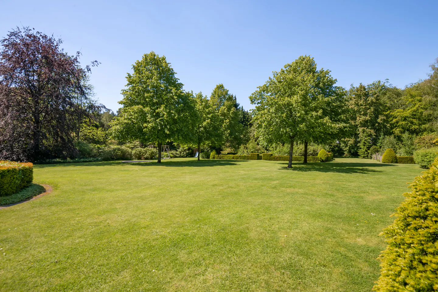 A large green lawn with trees under a clear blue sky.