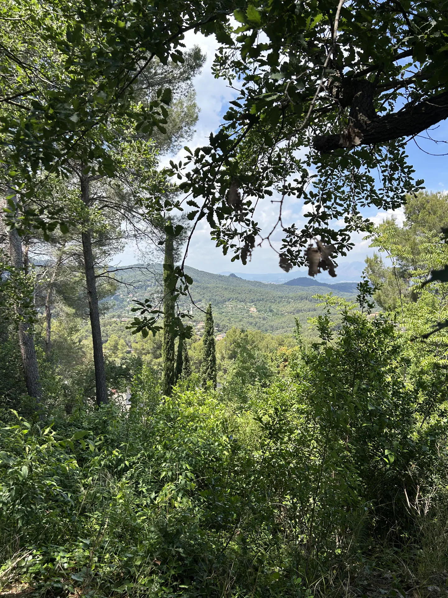 View of rolling green hills and trees, framed by leafy branches in the foreground. Blue sky with clouds visible in the distance.