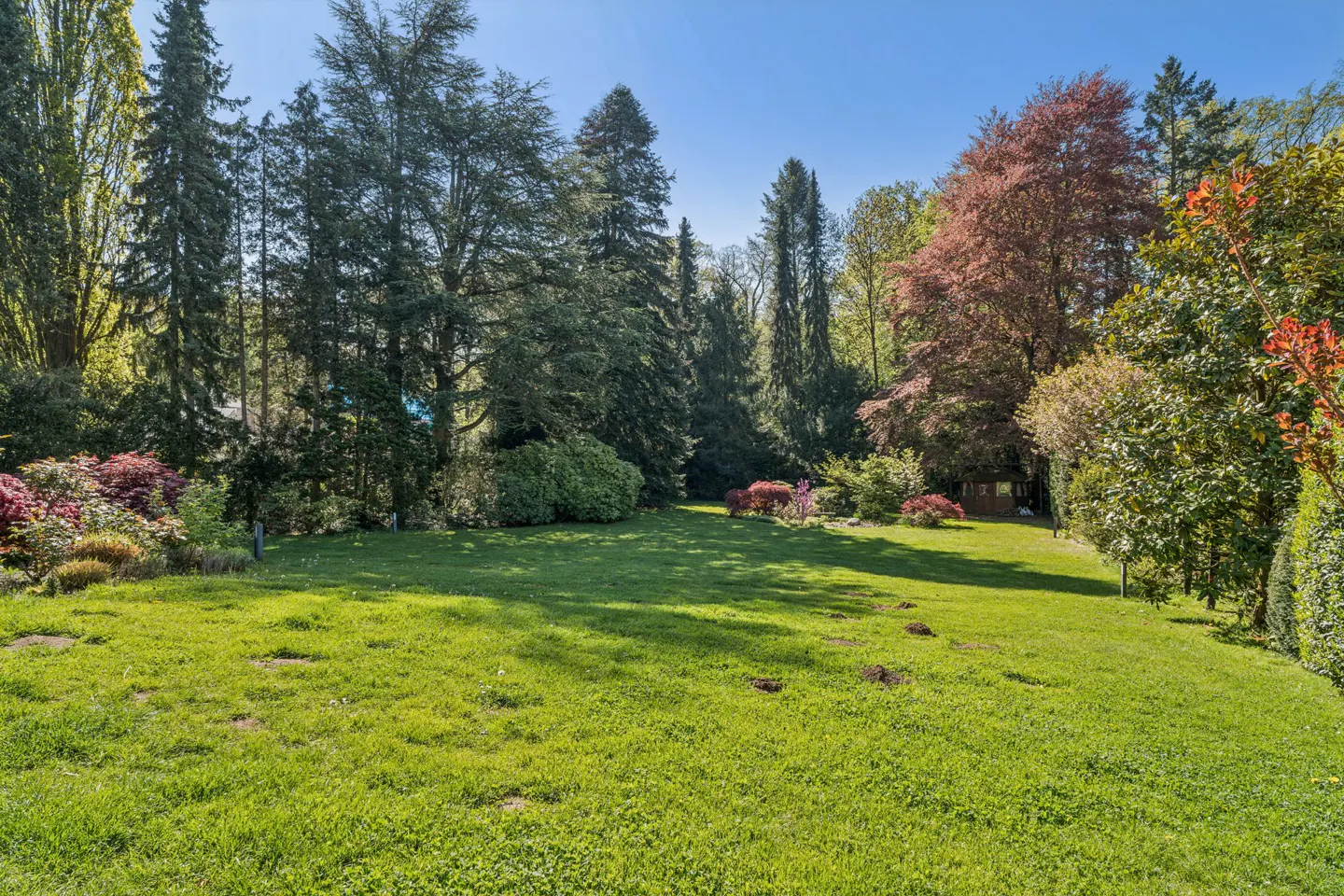 Lush green lawn surrounded by trees and bushes under a clear blue sky.