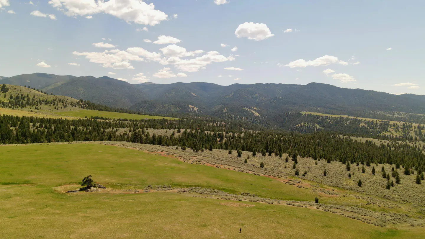 Scenic view of green meadow with mountains, trees, and blue sky with white clouds. A small figure stands in the distance.