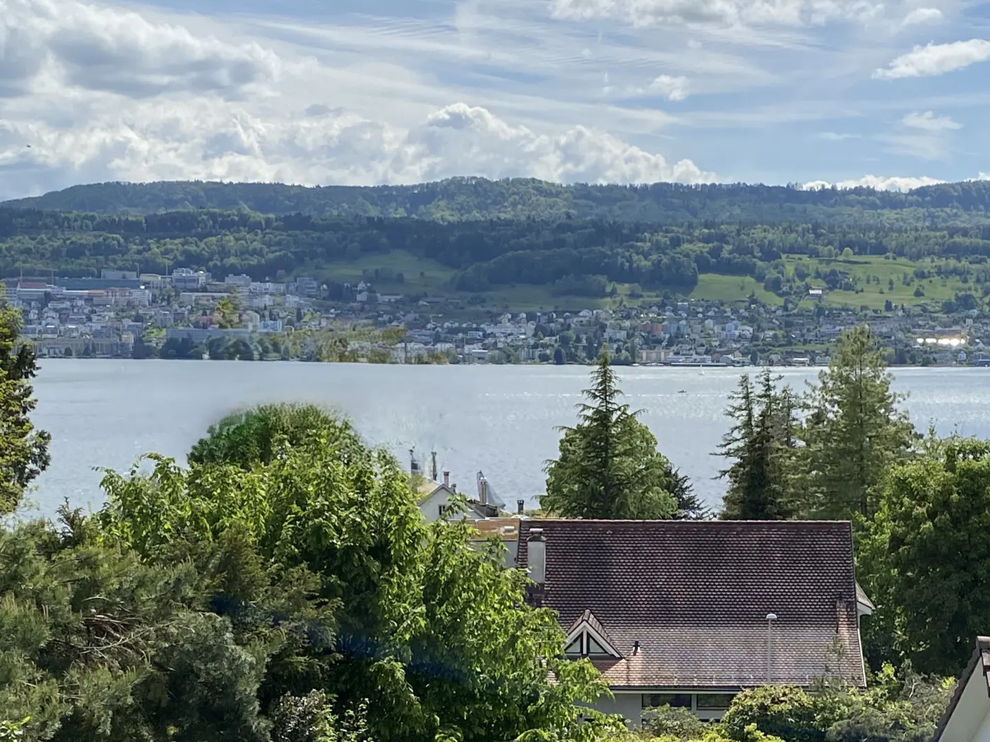 Lake view with a red-tiled roof in the foreground, green trees, and a town across the water under a cloudy sky.