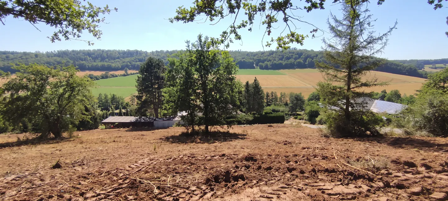 View of a cleared lot with tire tracks, trees, and a building in the background, under a blue sky.