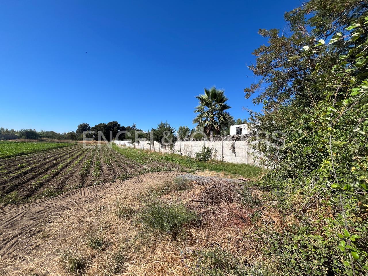 Gran Terreno San Joaquin de los Mayos