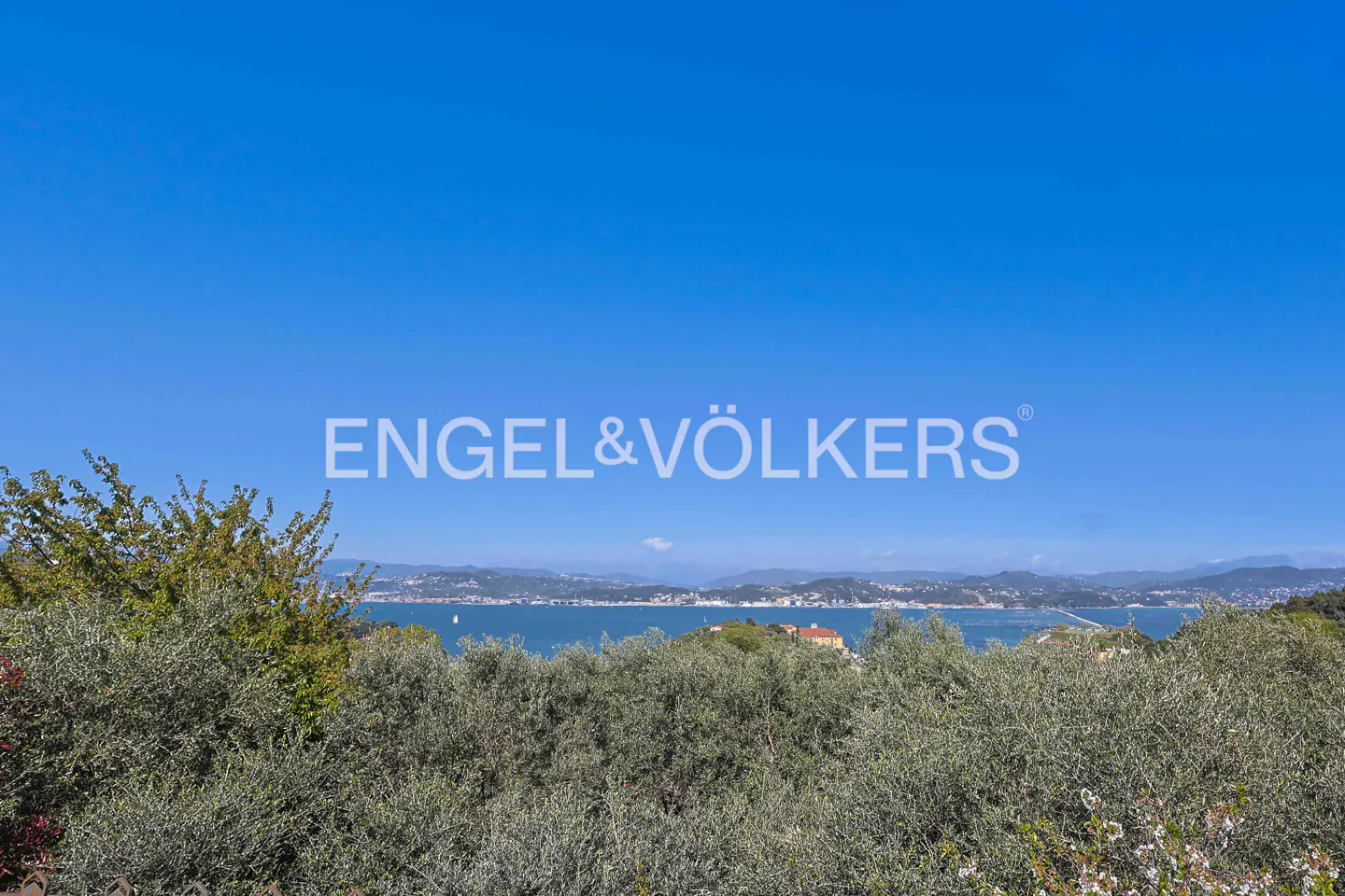 Engel & Völkers presents a scenic view of the sea and distant coastline under a clear blue sky, framed by lush green foliage.