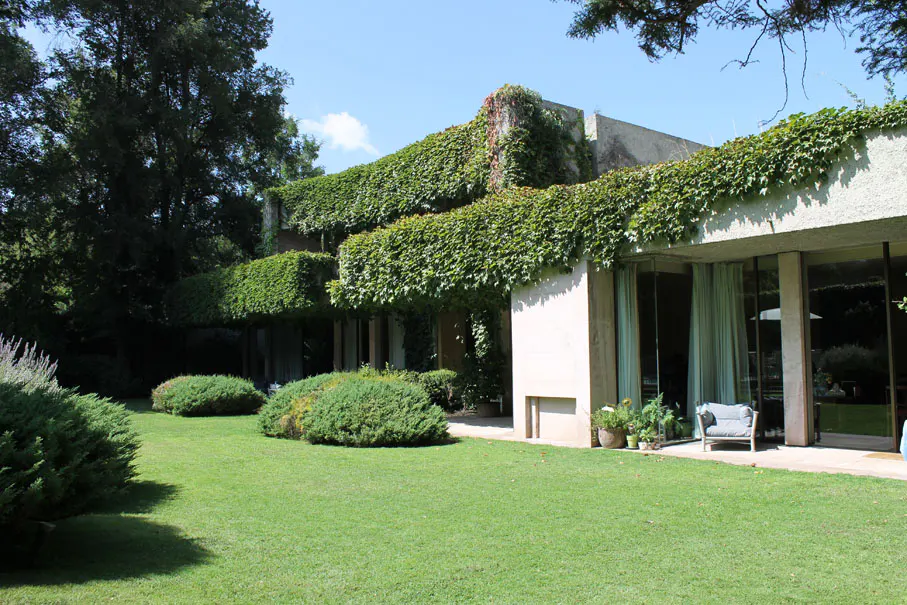 Modern home exterior with ivy-covered ledges, large windows, and a green lawn with bushes.
