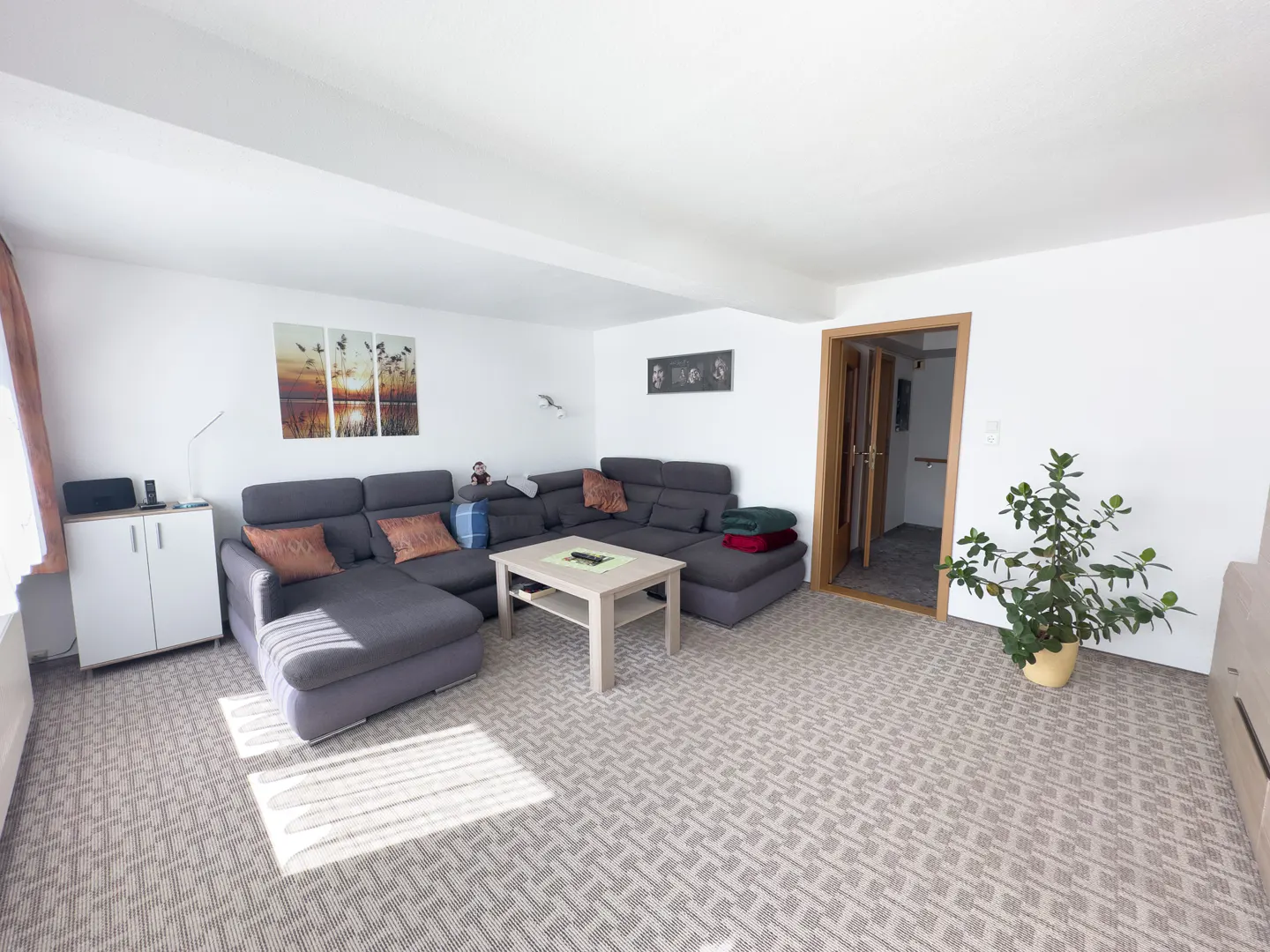Bright living room with a gray sectional sofa, light wood coffee table, patterned carpet, and white walls. Artwork and a potted plant add color.