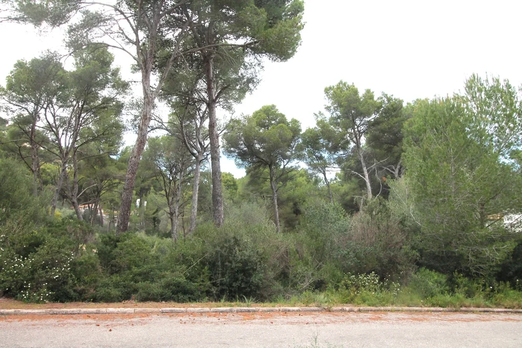 Plot in a quiet residential area in Canyamel