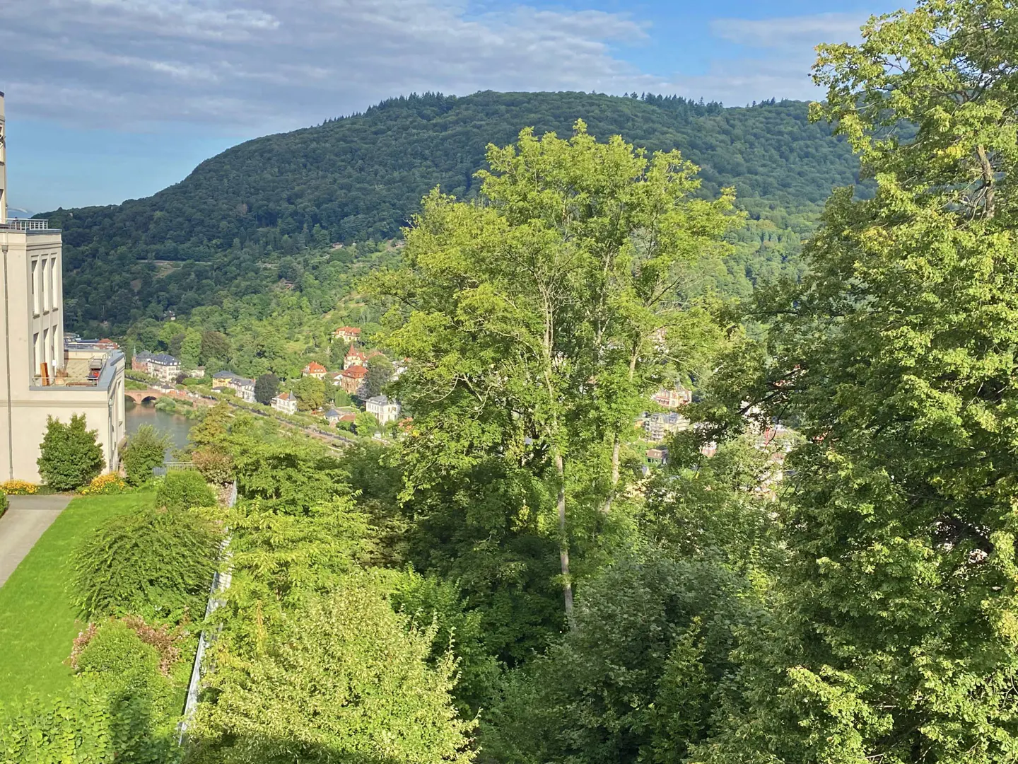 View of a lush green valley with a river, houses, and a forested mountain in the background. Trees frame the view.