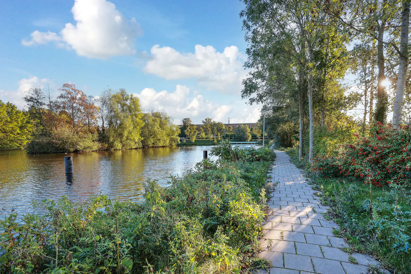 Scenic view of a calm river with trees and a brick path under a blue sky with white clouds.