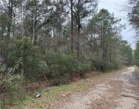 Build Your Dream Home in Lacombe, LA