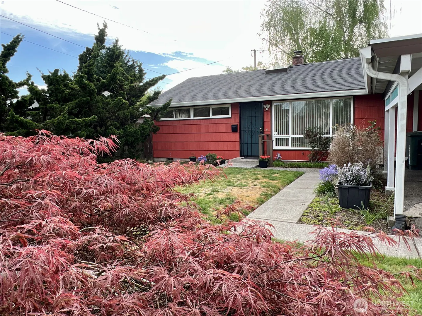 A red, single-story house with a dark gray roof, a blue security door, and a red Japanese maple tree in the front yard.