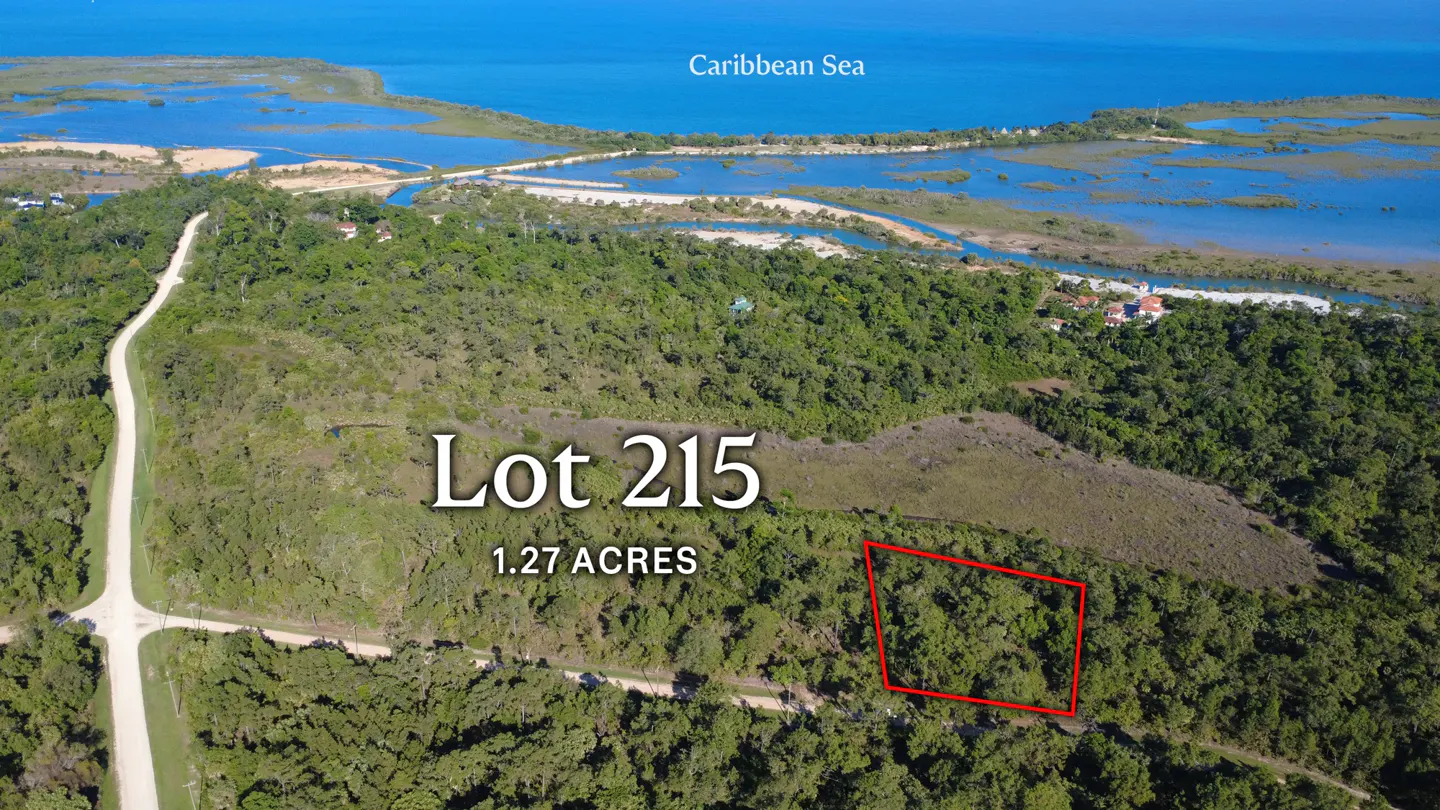 Aerial view of Lot 215, 1.27 acres, outlined in red, surrounded by green trees, with the Caribbean Sea in the background.