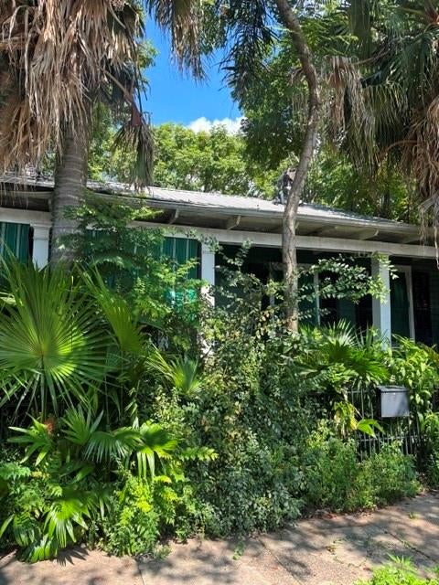 Walking Distance to Tulane, Loyola, and Oak Street