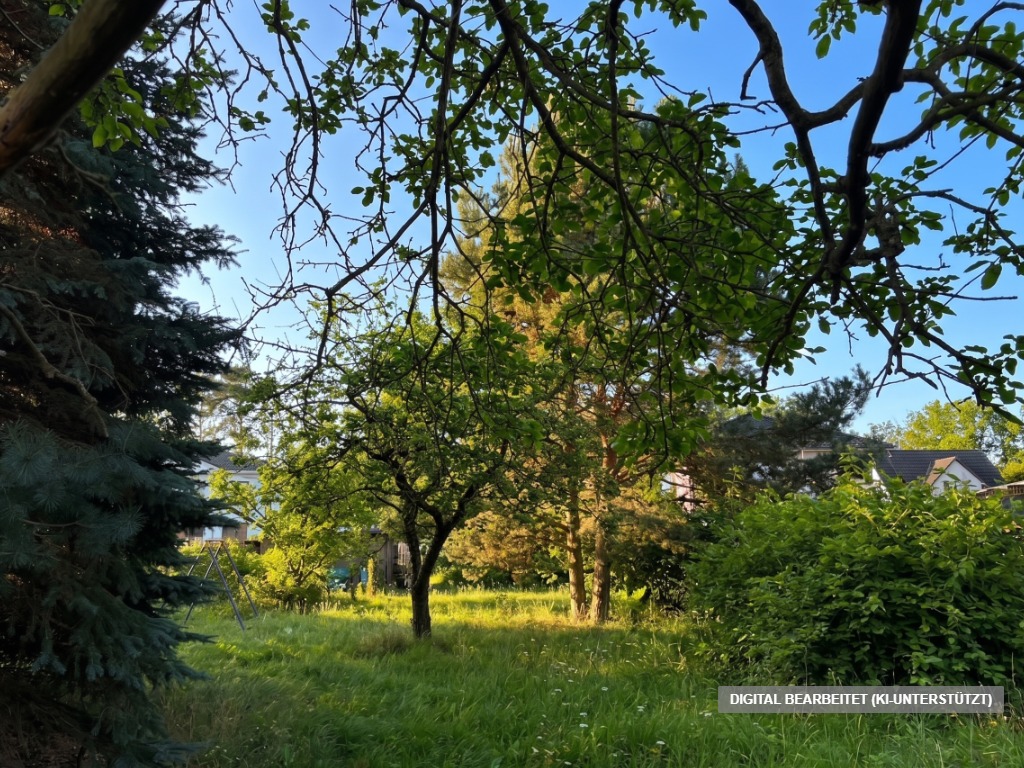 Altbau weg, Neuanfang rein