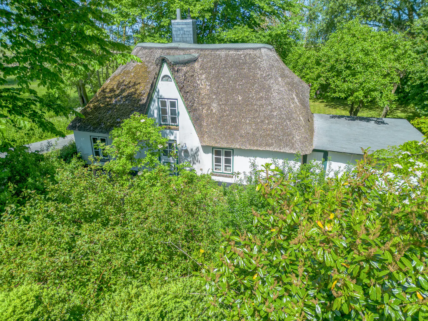 Aerial view of a white cottage with a thatched roof, surrounded by lush green trees and foliage.