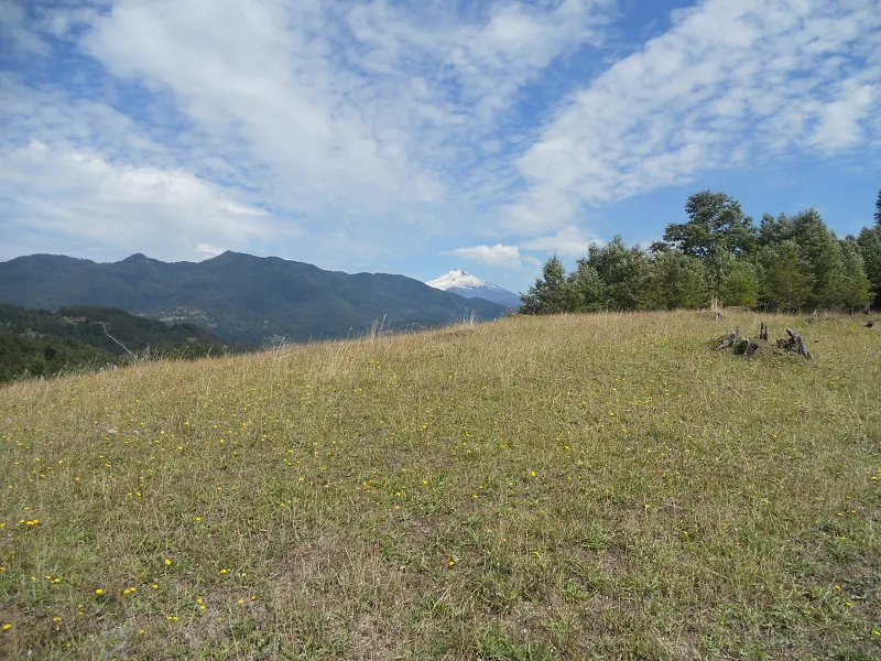 Scenic view of a grassy field with mountains and a snow-capped volcano under a blue sky with white clouds.