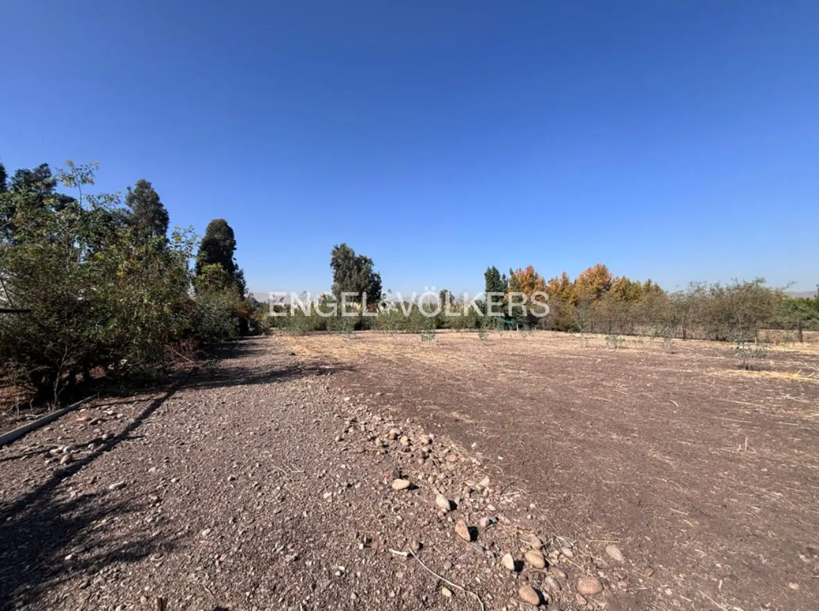 Vacant land for sale with trees and blue sky. Engel & Volkers logo in the background.