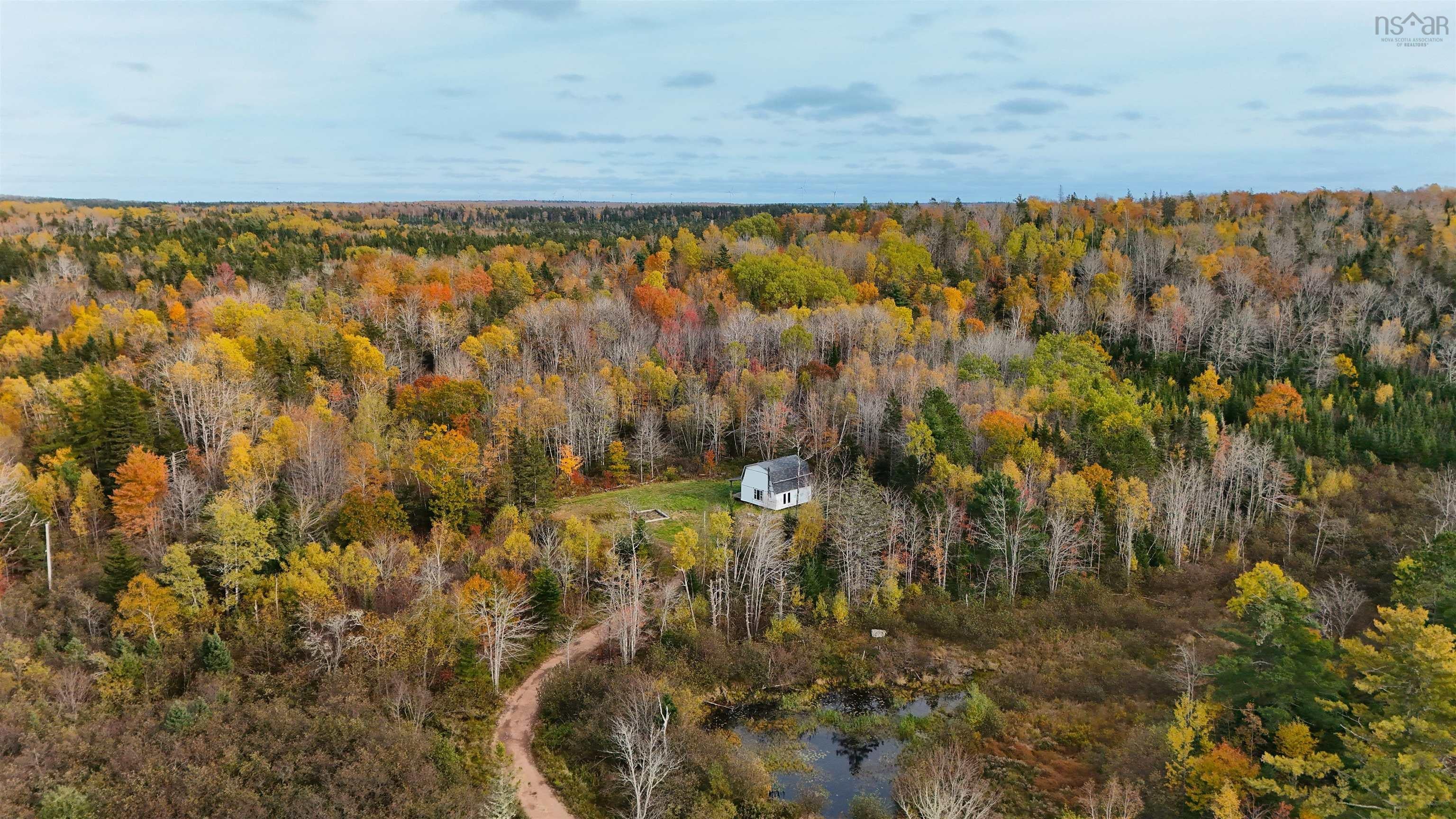 Bring your Vision to this Peaceful Country Haven