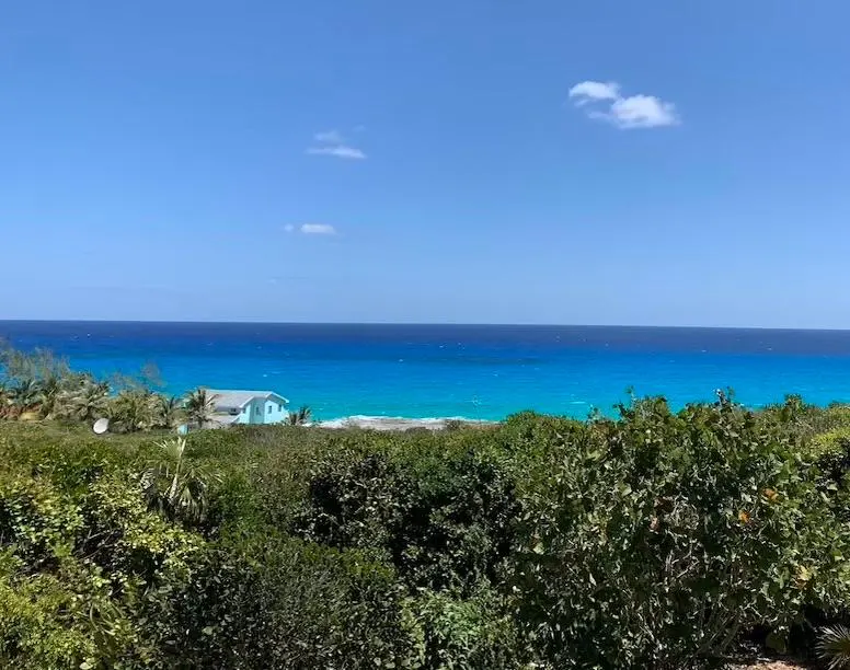 Ocean view with a light blue house nestled among green foliage under a clear blue sky with a few clouds.