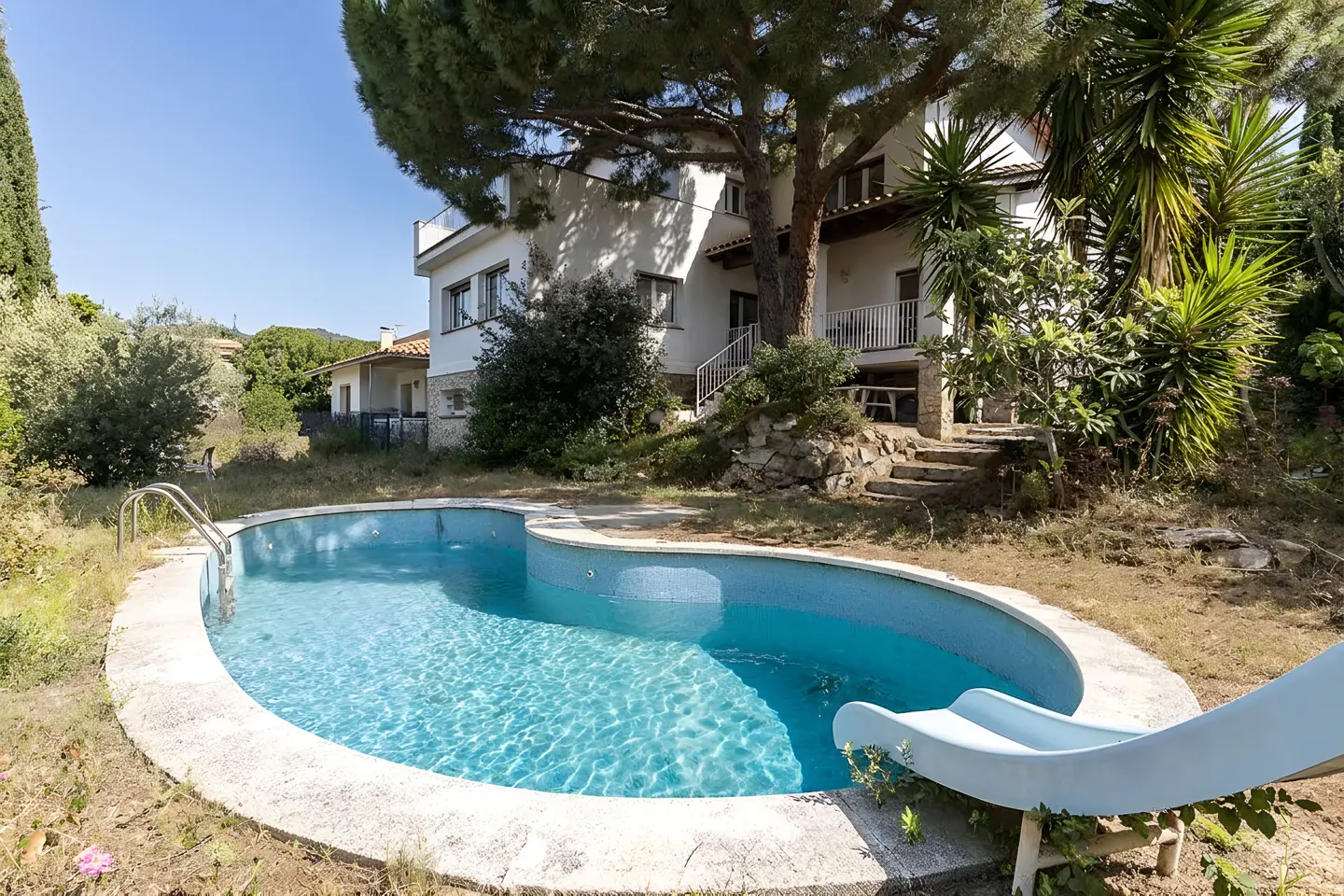 Backyard view of a two-story white house with a blue kidney-shaped pool and slide.
