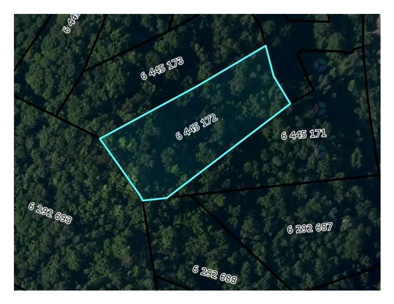 Aerial view of a wooded property outlined in blue, with parcel numbers visible.