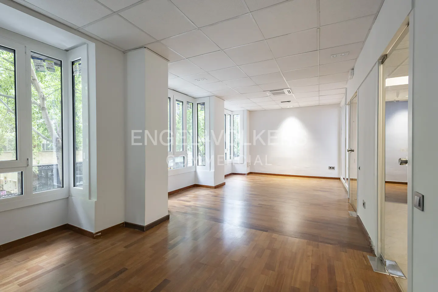 Bright, empty office space with hardwood floors, white walls, and large windows overlooking trees.