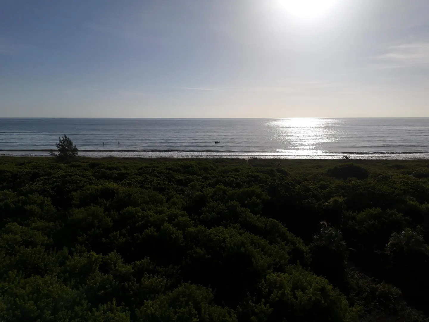 Ocean view with green foliage in foreground. Sun reflects on water. Blue sky.
