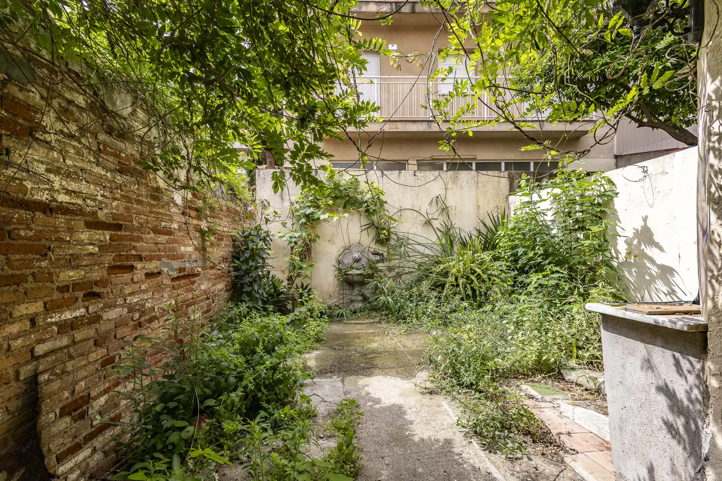 Overgrown backyard with a brick wall, concrete path, and a small fountain against a white wall. Green foliage and a building in the background.