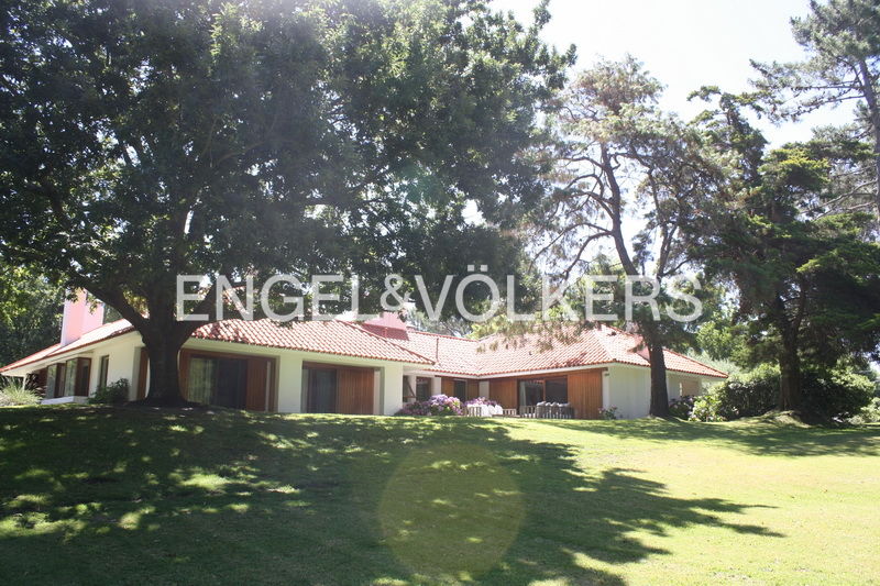 Playa Bosque; Quality and good taste