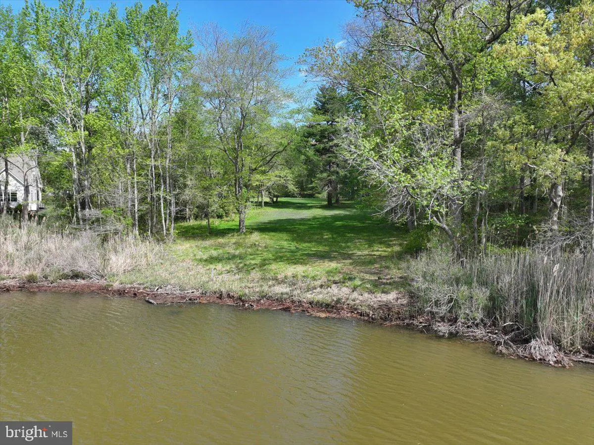Waterfront property with green lawn, trees, and a glimpse of a house. The water is a murky brown color.