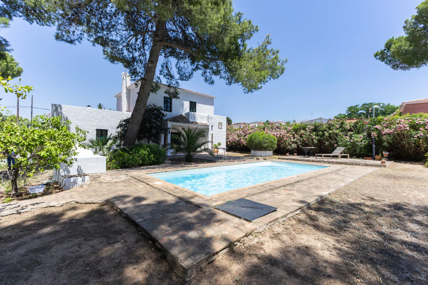 White villa with a blue swimming pool, stone patio, large pine tree, and lush garden under a clear blue sky.