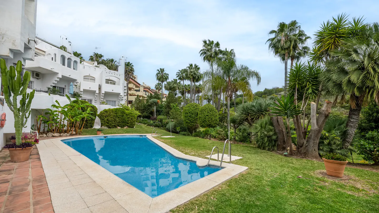 A rectangular blue swimming pool is surrounded by green grass and palm trees. A white building is in the background.