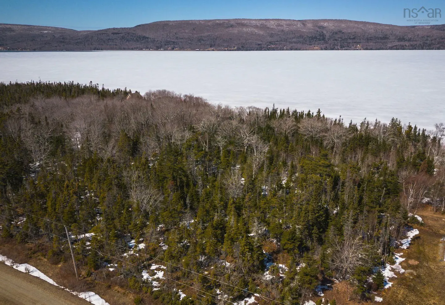 Landscape view of a forest with a frozen lake in the background under a blue sky.