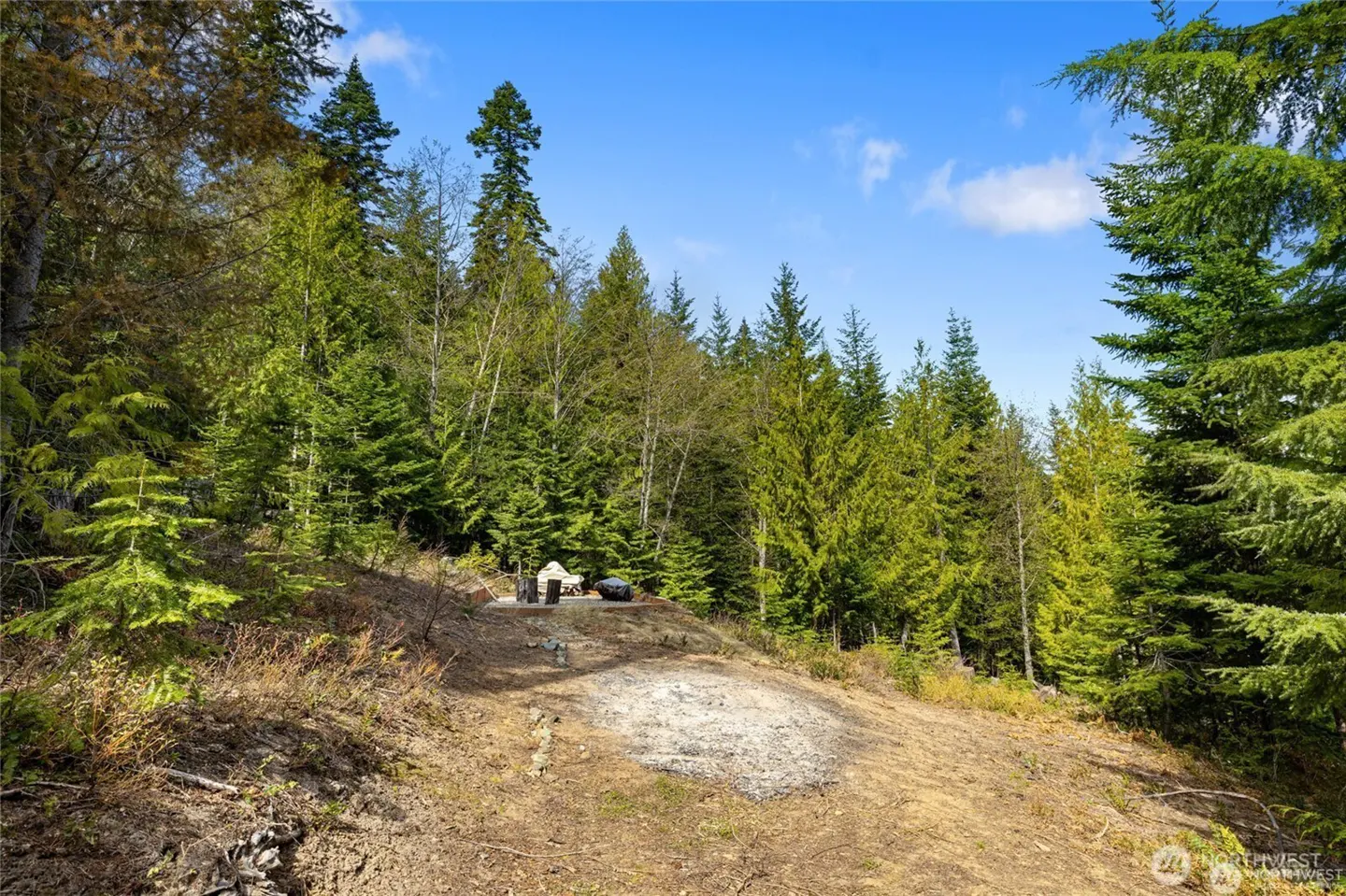 A clearing in a forest with a tent and chairs visible in the background. The sky is blue with some clouds.