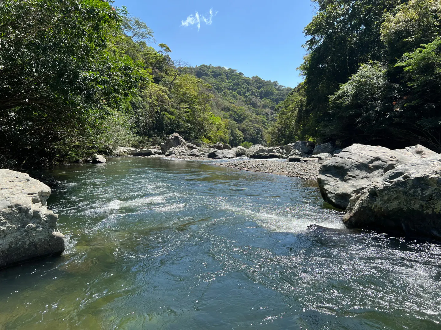 Scenic view of a river flowing through a lush green forest with large rocks on either side.