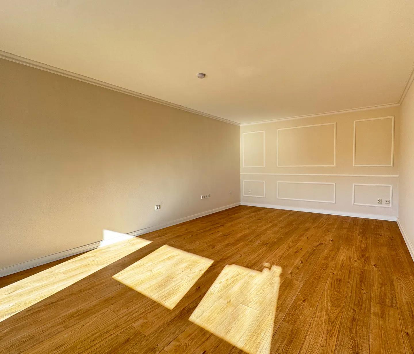 Empty room with light tan walls, white trim, and wood floors. Sunlight streams in.