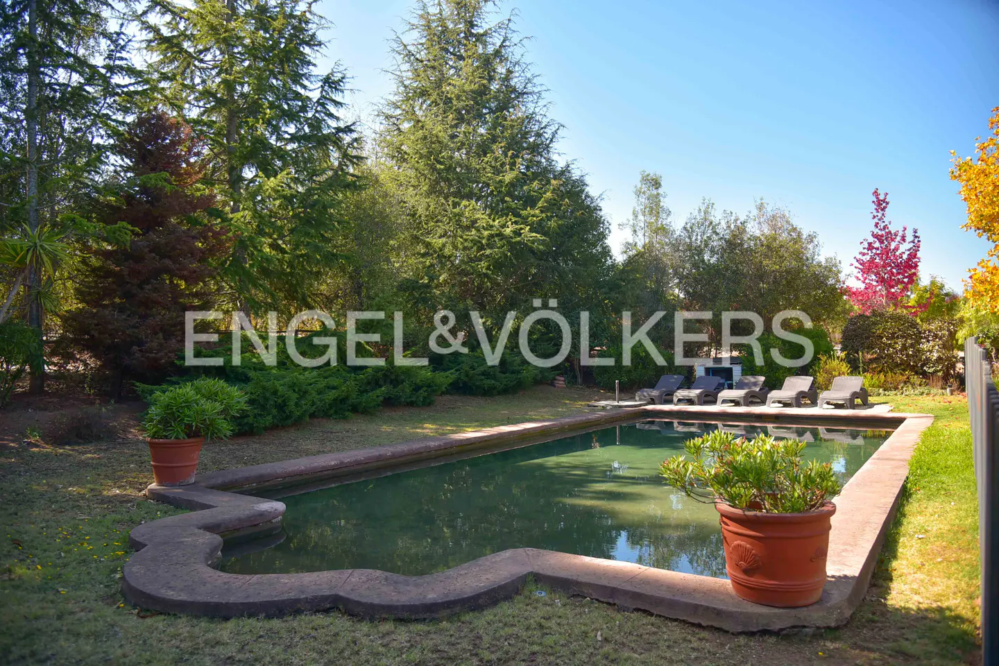 Outdoor pool with lounge chairs surrounded by trees and grass. Engel & Völkers logo is visible.