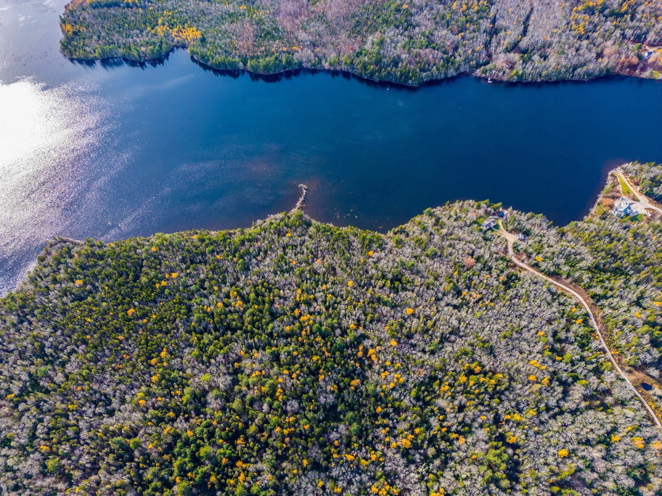 12.3 Acres with +/- 430 Feet of Breathtaking Lakefront