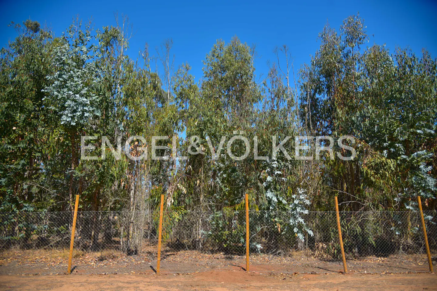 A property line with a chain link fence and wooden posts, backed by tall trees under a blue sky.
