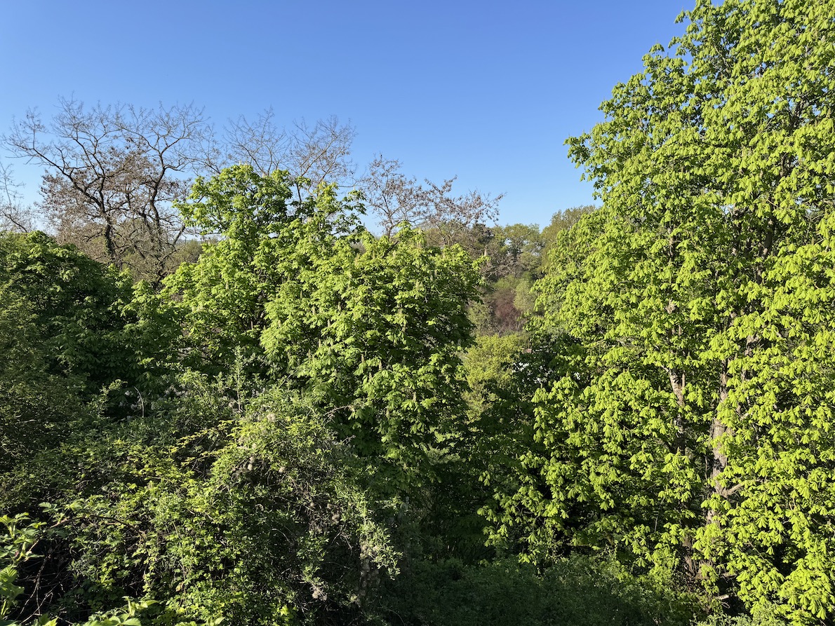 Aufwachen und diesen Ausblick genießen